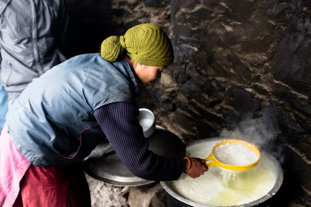 Yak Cheese - Things to do in ladakh 
